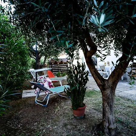 Ampio Appartement